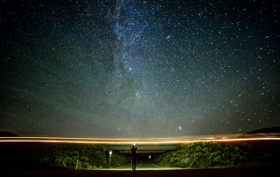 夜空下，灰色的水泥路在树间穿梭